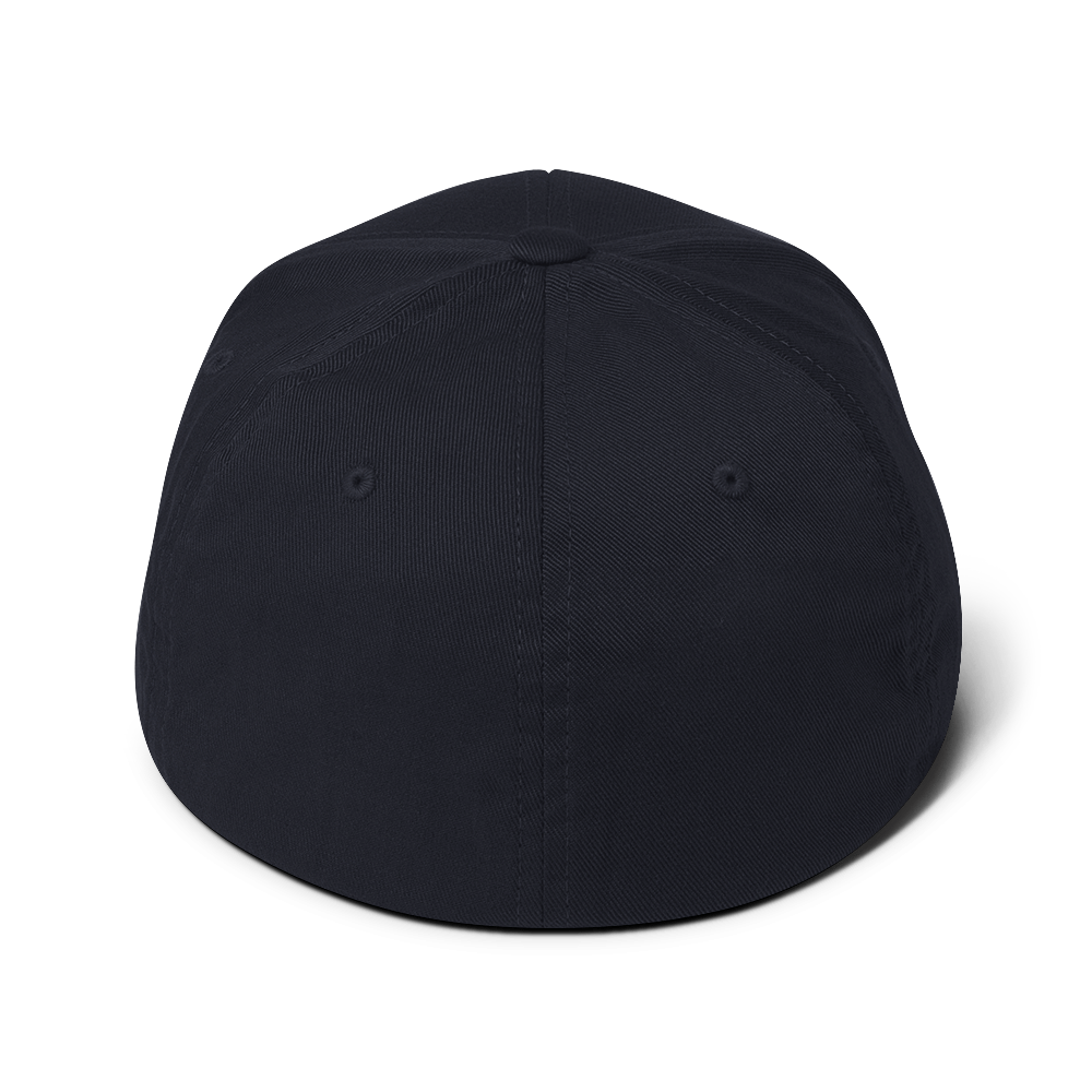 Black Jobs - Structured Twill Cap | THE VOTING BLOCK