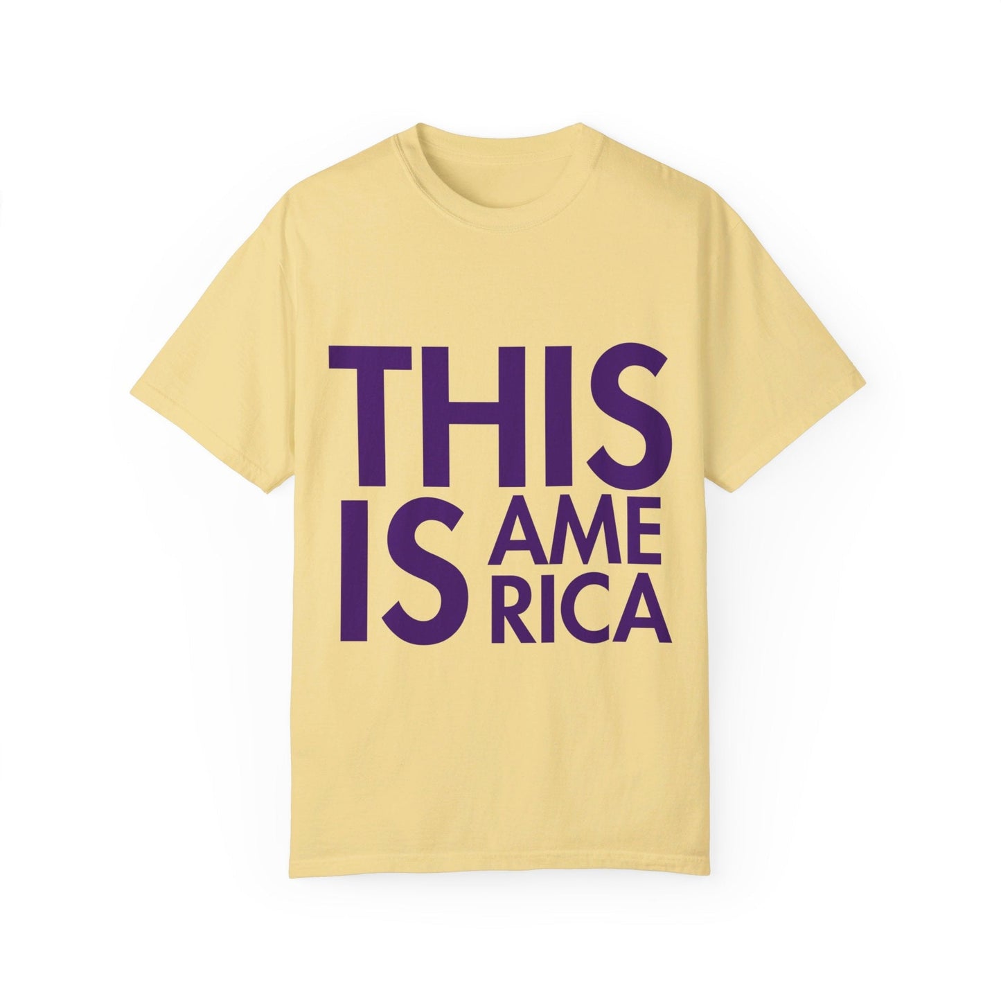 This Is America - Garment - Dyed T - shirt *Custom Colors* | THE VOTING BLOCK