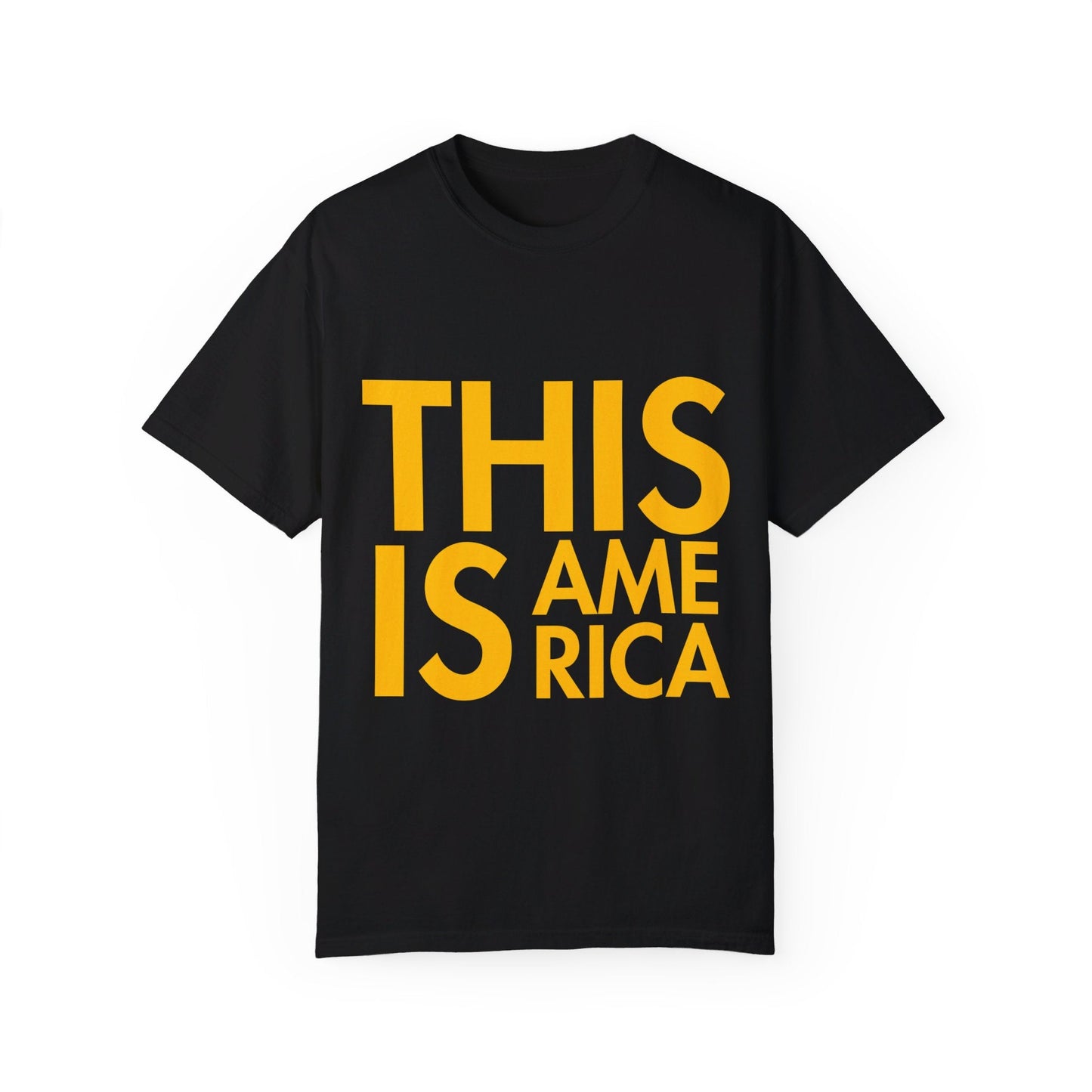 This Is America - Garment - Dyed T - shirt *Custom Colors* | THE VOTING BLOCK