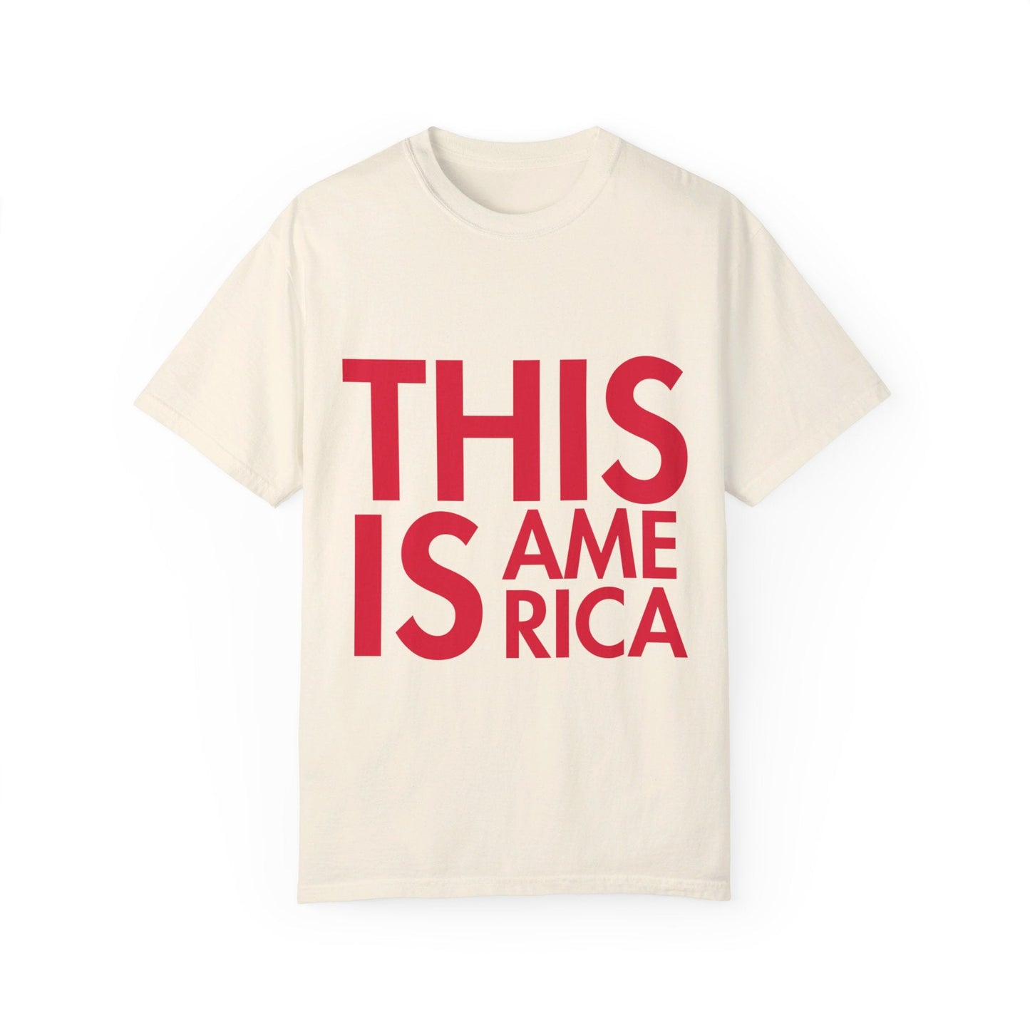 This Is America - Garment - Dyed T - shirt *Custom Colors* | THE VOTING BLOCK