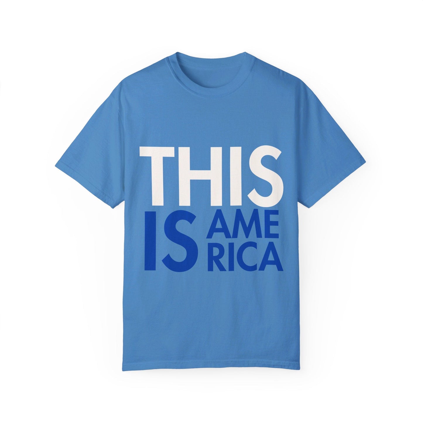 This Is America - Garment - Dyed T - shirt *Custom Colors* | THE VOTING BLOCK