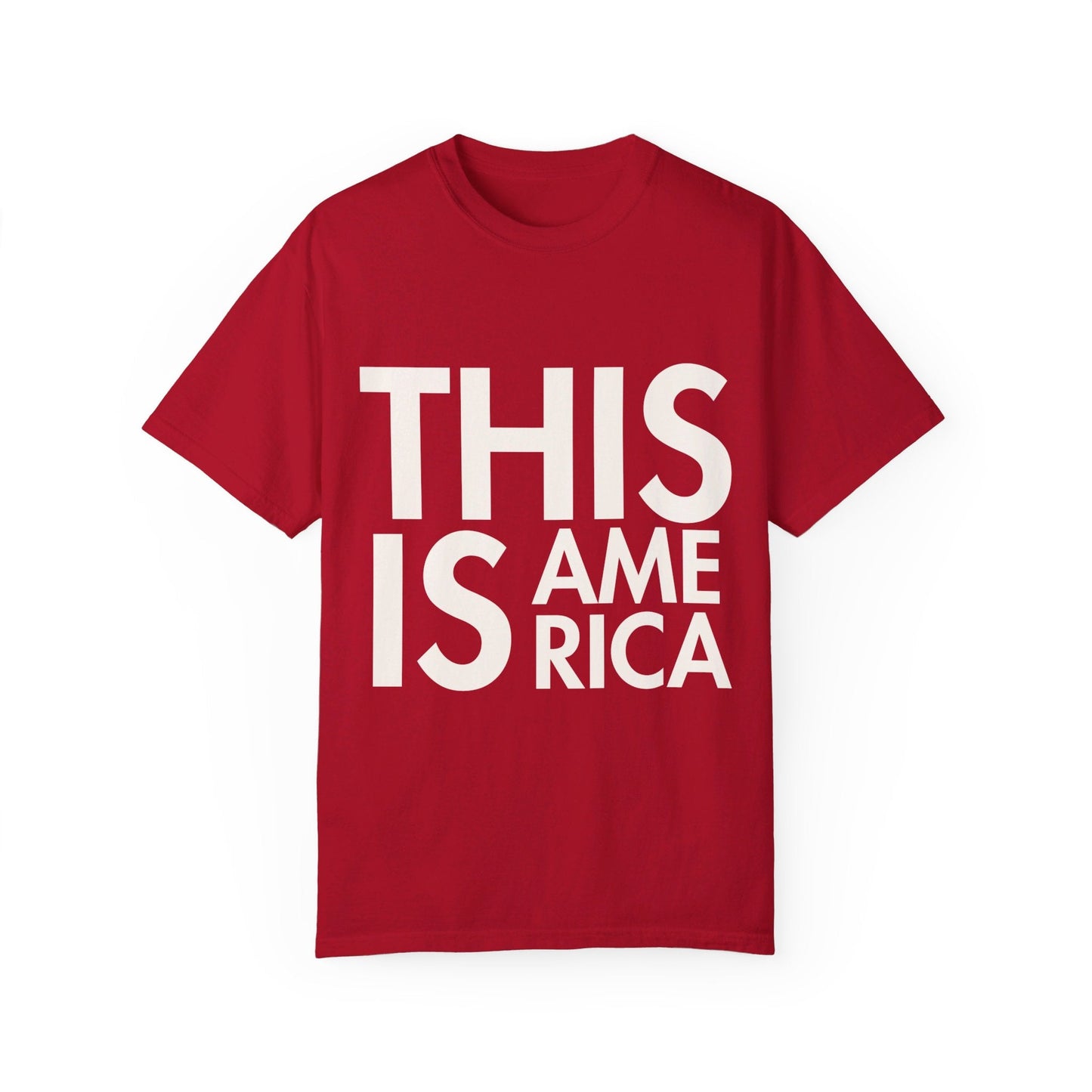 This Is America - Garment - Dyed T - shirt *Custom Colors* | THE VOTING BLOCK